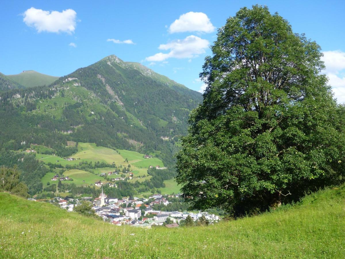 Biohof Maurachgut Villa Bad Hofgastein Kültér fotó