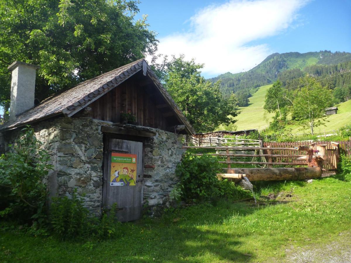 Biohof Maurachgut Villa Bad Hofgastein Kültér fotó