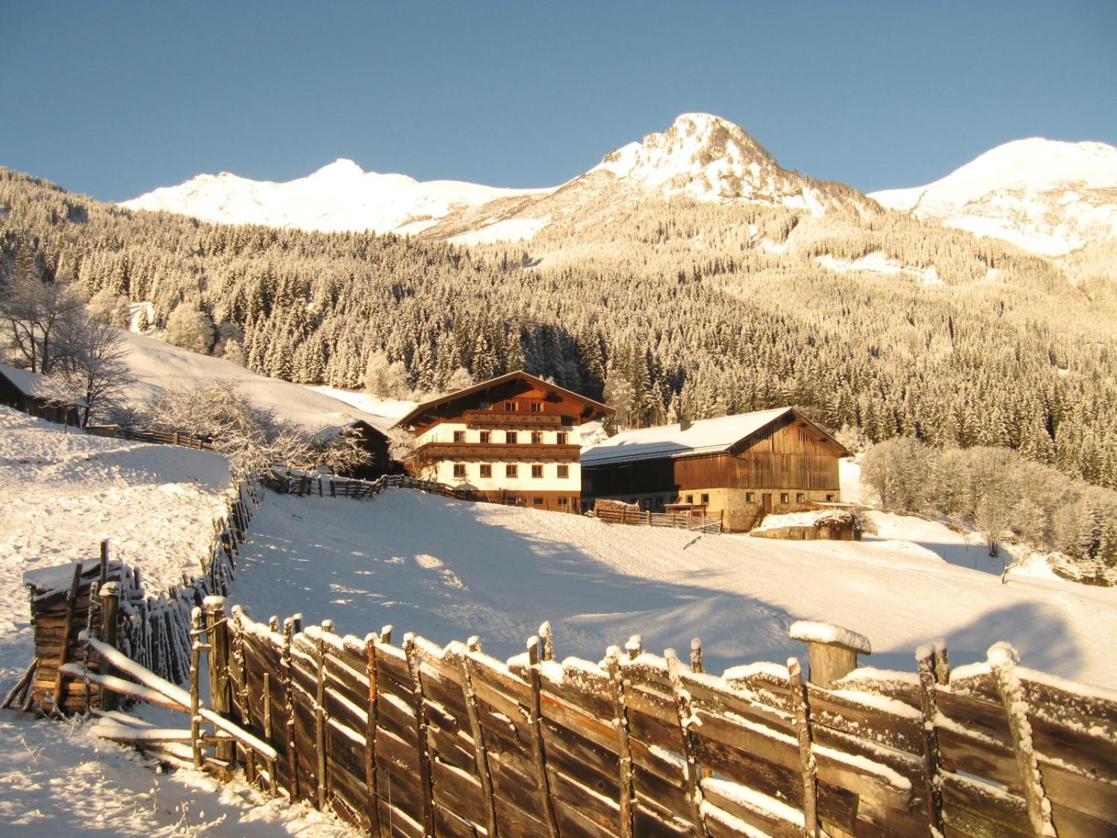 Biohof Maurachgut Villa Bad Hofgastein Kültér fotó