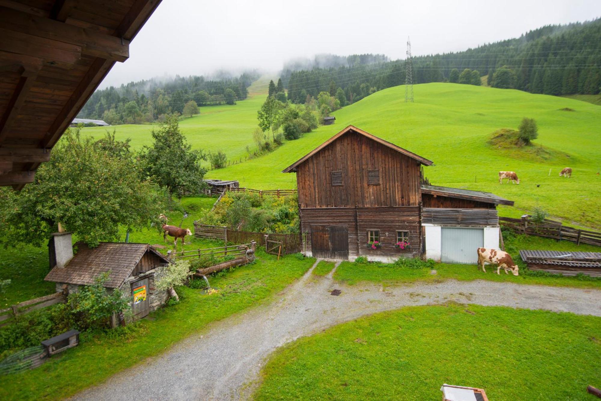 Biohof Maurachgut Villa Bad Hofgastein Kültér fotó